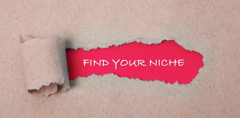 Find Your Niche