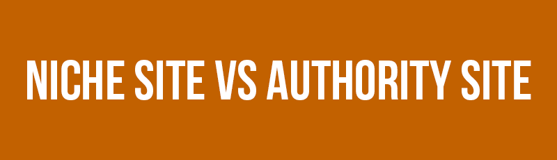 Niche Site vs Authority Site